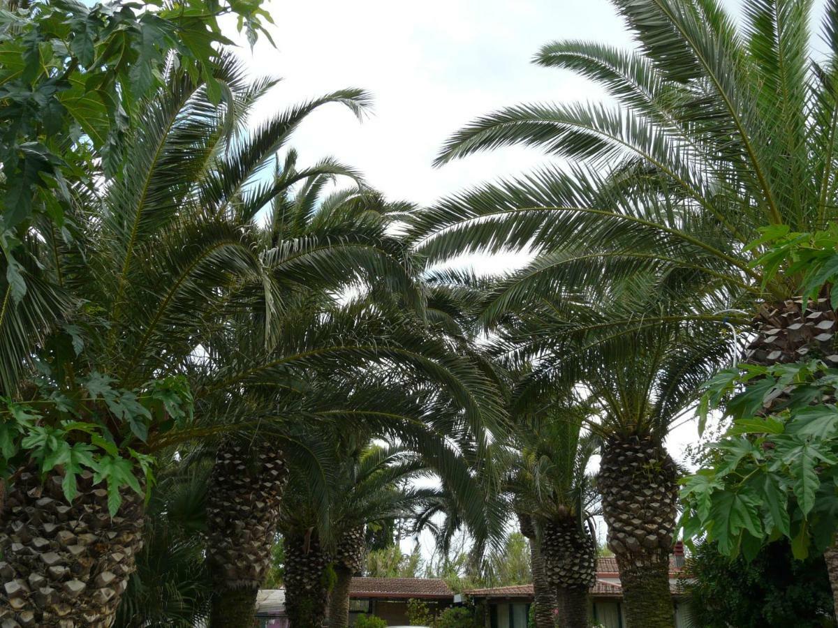 Villa Yucca Авола Екстериор снимка
