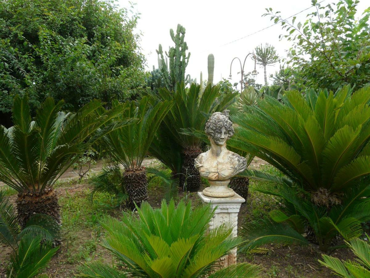 Villa Yucca Авола Екстериор снимка