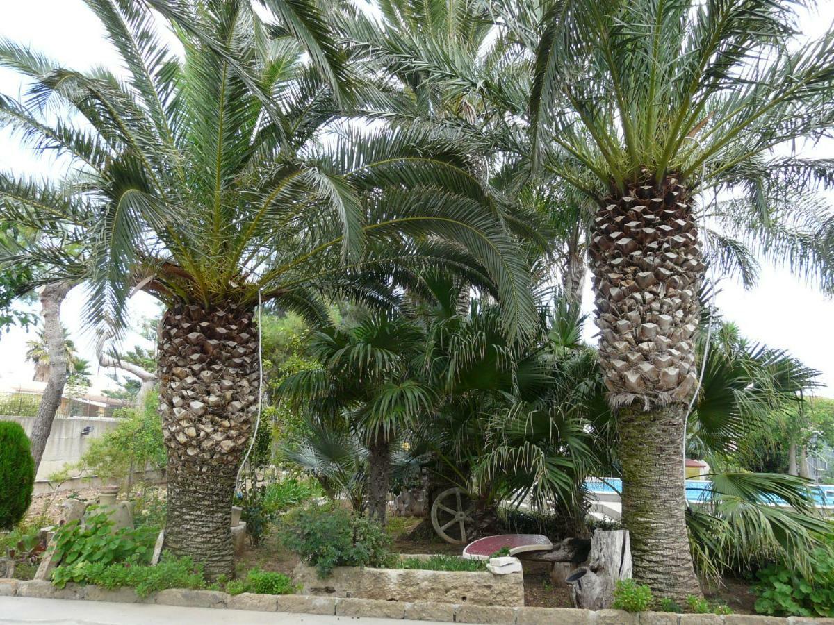 Villa Yucca Авола Екстериор снимка