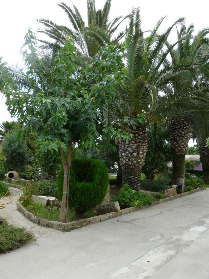 Villa Yucca Авола Екстериор снимка